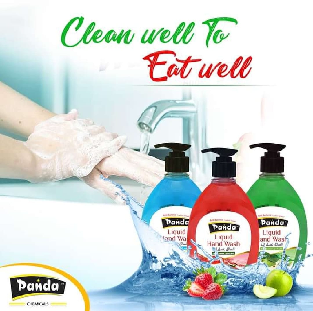 Panda Liquid Hand Wash