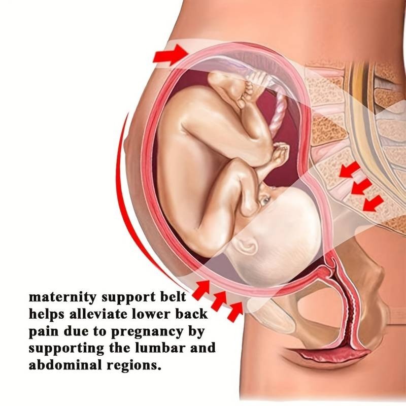 Postpartum Pregnancy Safety Support Belt